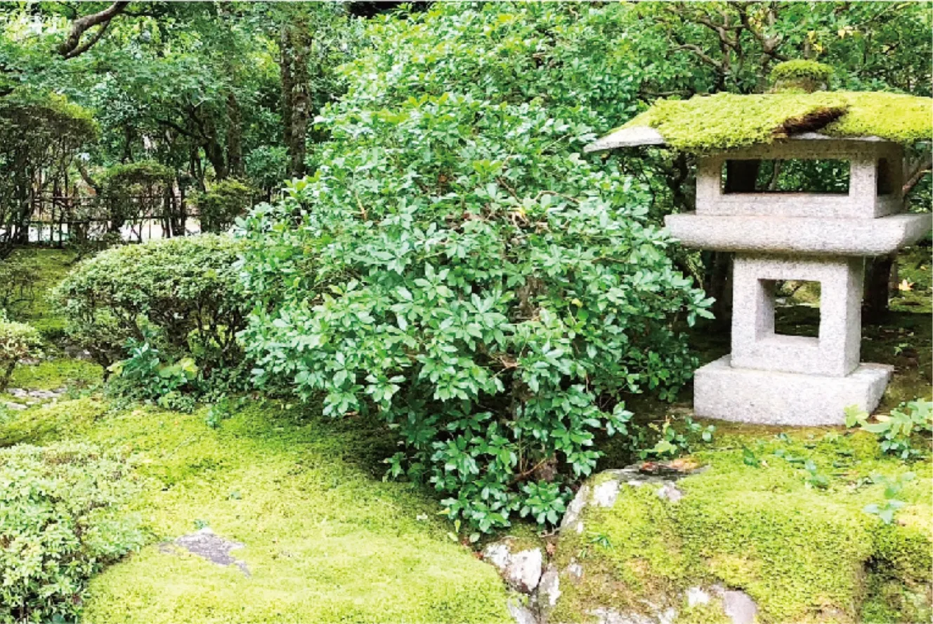 会社概要イメージ画像１