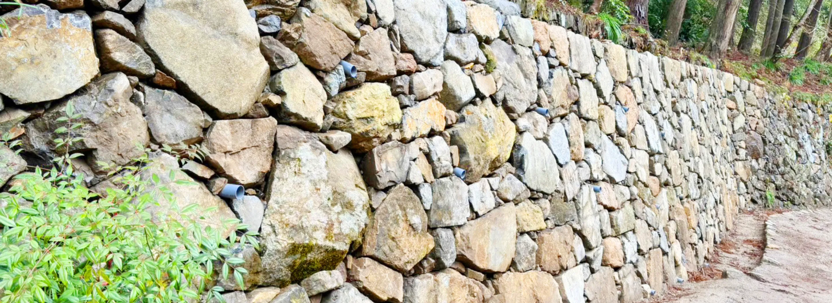 伊藤造園のつよみイメージ画像１